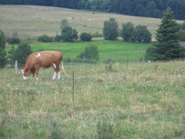 img_0151.jpg
