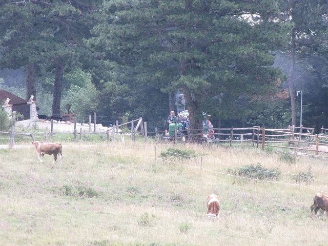 kimg_3243.jpg