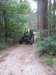 kimg_3358_small.jpg