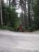 kimg_3359_small.jpg
