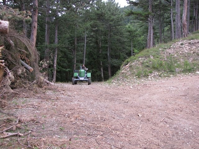 kimg_3416.jpg