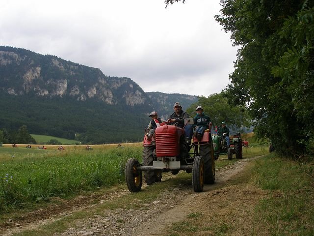 kp7307865.jpg