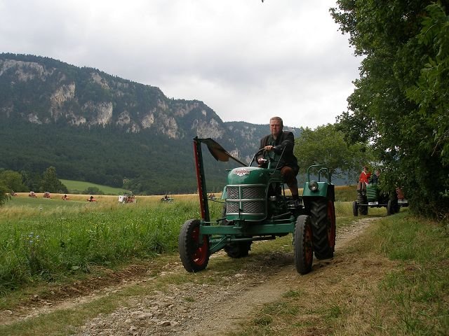 kp7307867.jpg