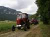 kp7307870_small.jpg