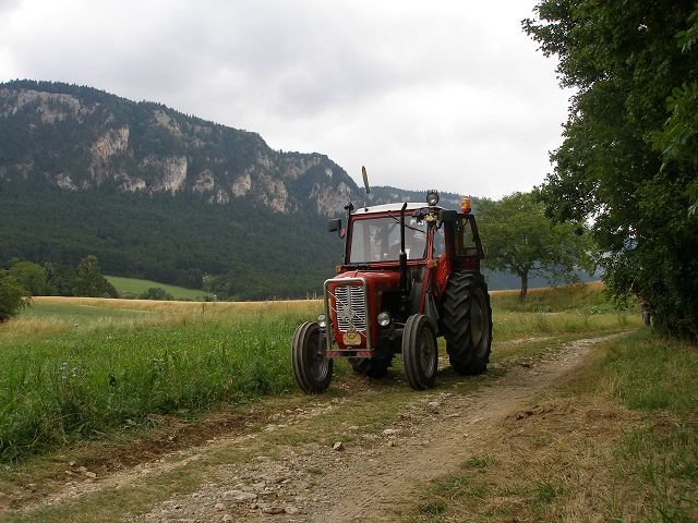kp7307878.jpg
