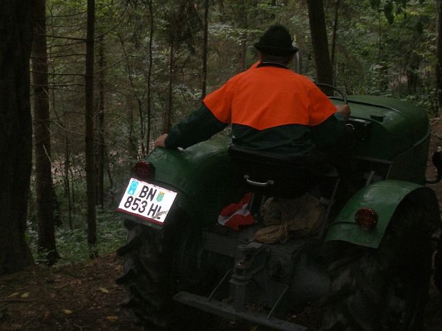 kp7307886.jpg