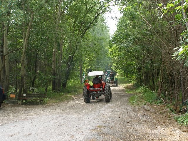 kp7307910.jpg