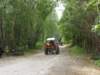 kp7307910_small.jpg