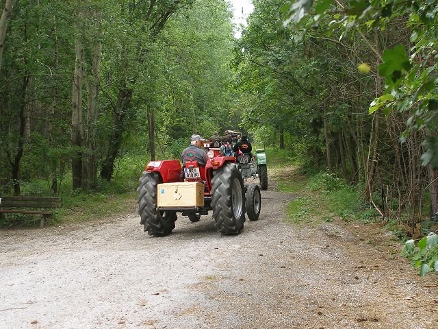 kp7307917.jpg