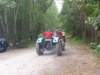 kp7307920_small.jpg