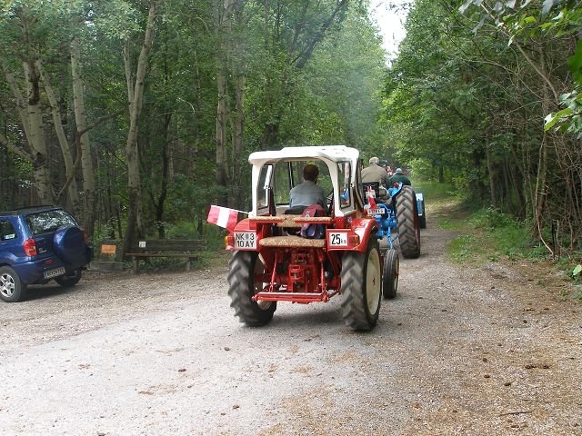 kp7307923.jpg