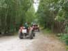 kp7307926_small.jpg