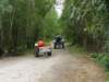 kp7307931_small.jpg