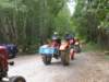 kp7307934_small.jpg