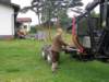 kp7307950_small.jpg