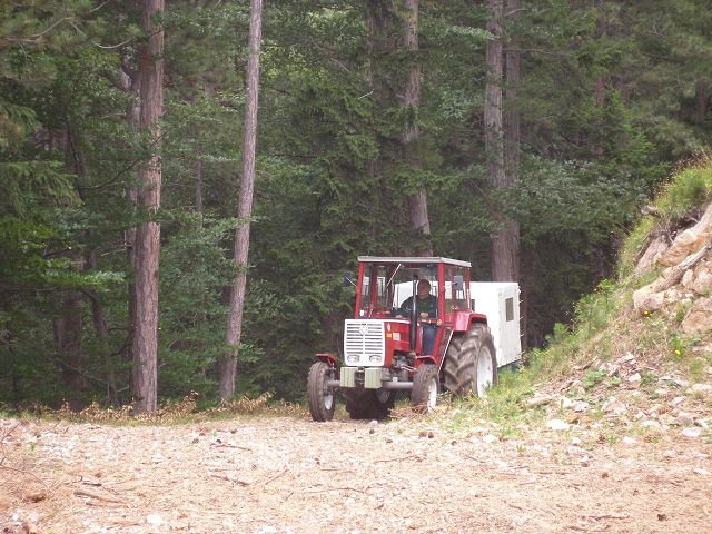 kp7307979.jpg