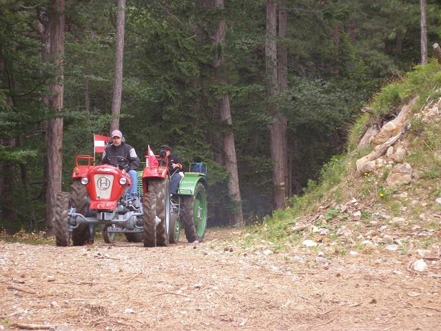 kp7307986.jpg