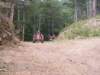 kp7307989_small.jpg