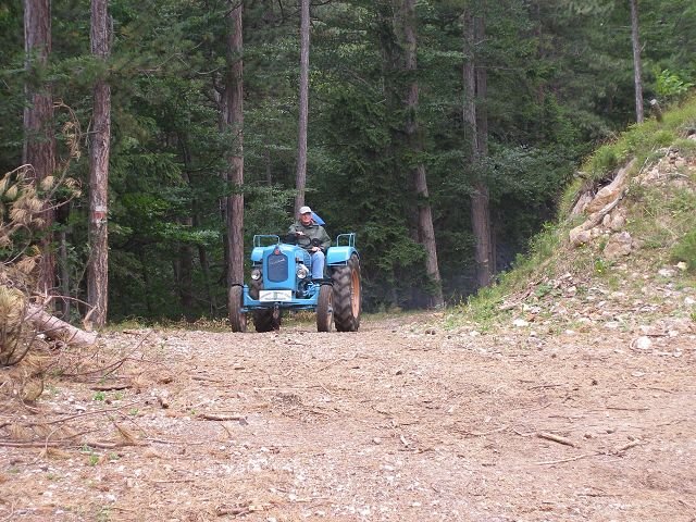 kp7307994.jpg